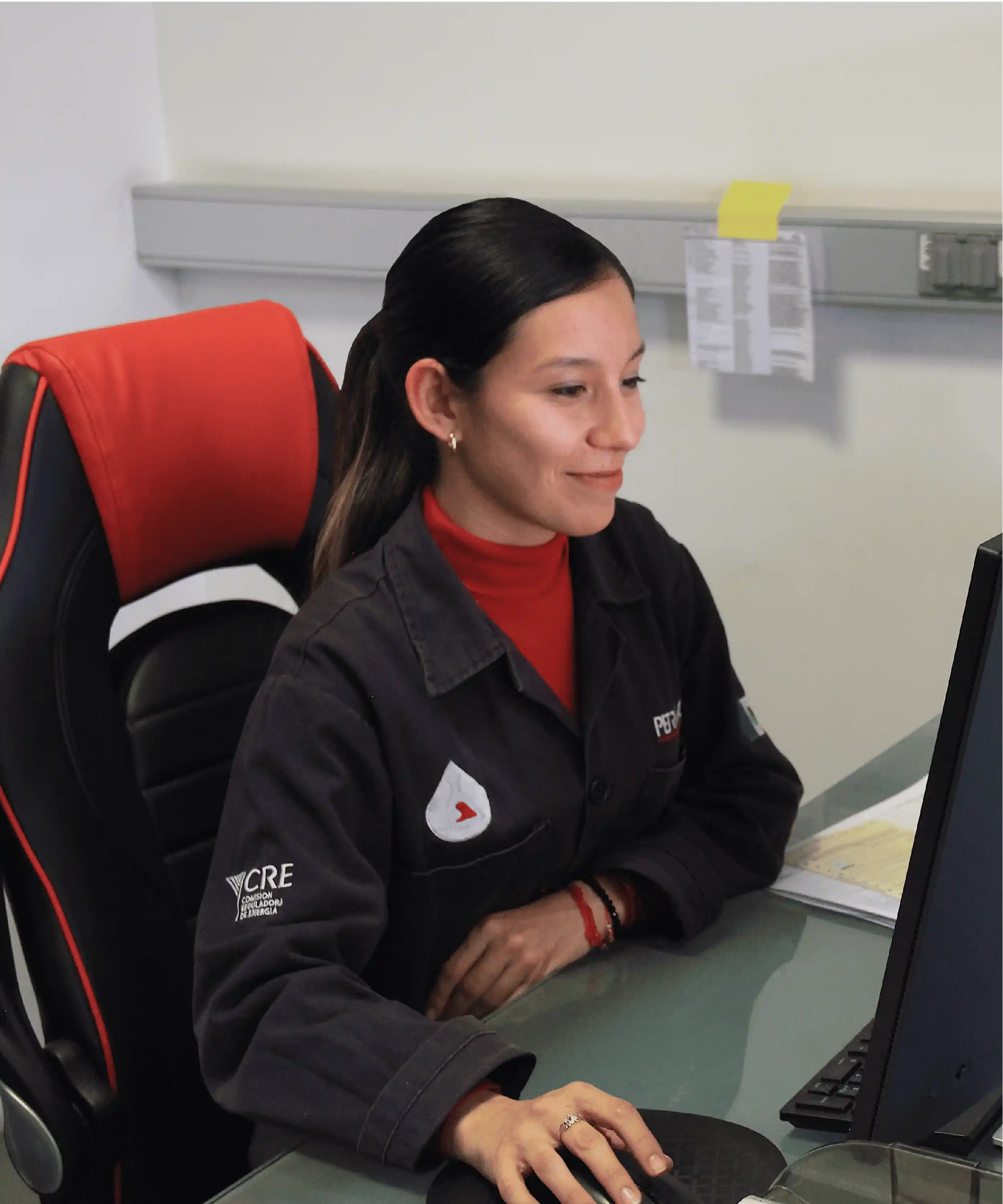 analista-de-campo-petroaadlab